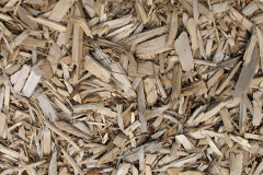 biomass boilers Largymeanoch